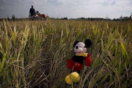 上海迪士尼將建成5個主題區(qū)20個景點(diǎn)